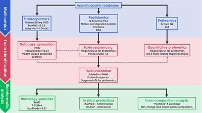 A Multiomics Approach Unravels New Toxins With Possible In Silico Antimicrobial, Antiviral, and Antitumoral Activities in the Venom of Acanthoscurria rondoniae